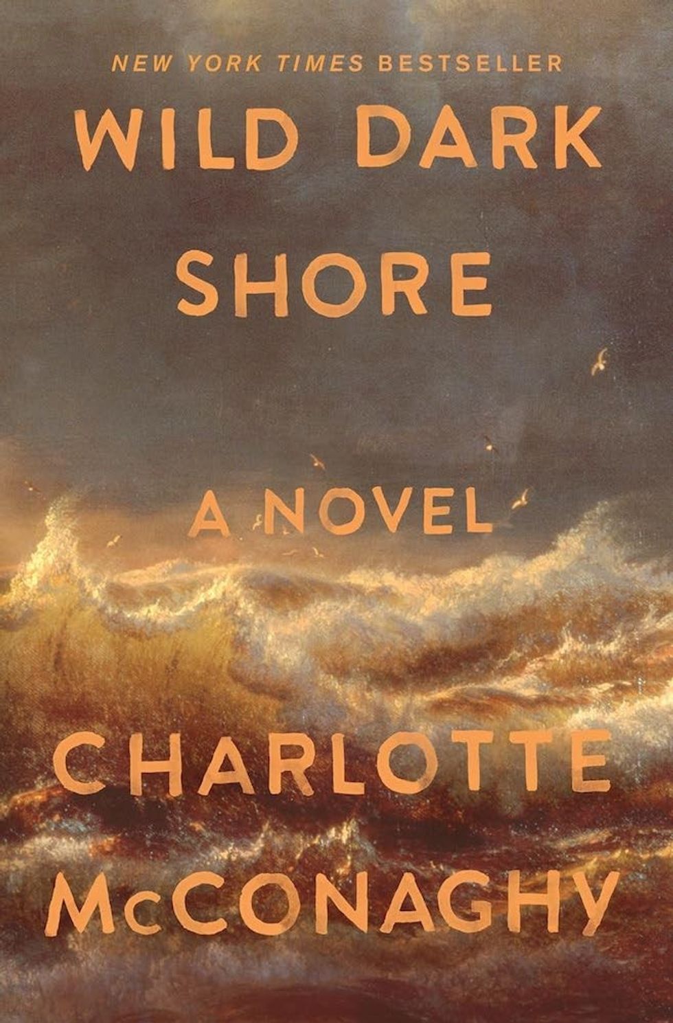 Wild Dark Shore by Charlotte McConaghy