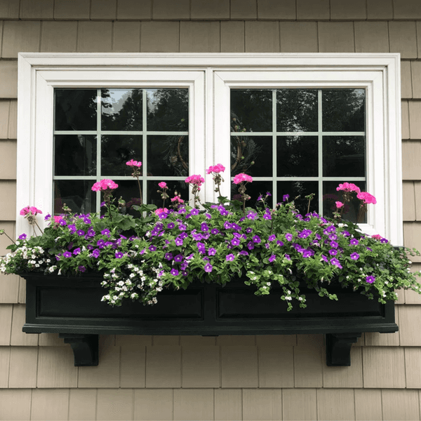 Window Boxes