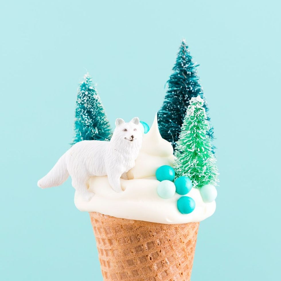 Winter Cone Cake Recipe