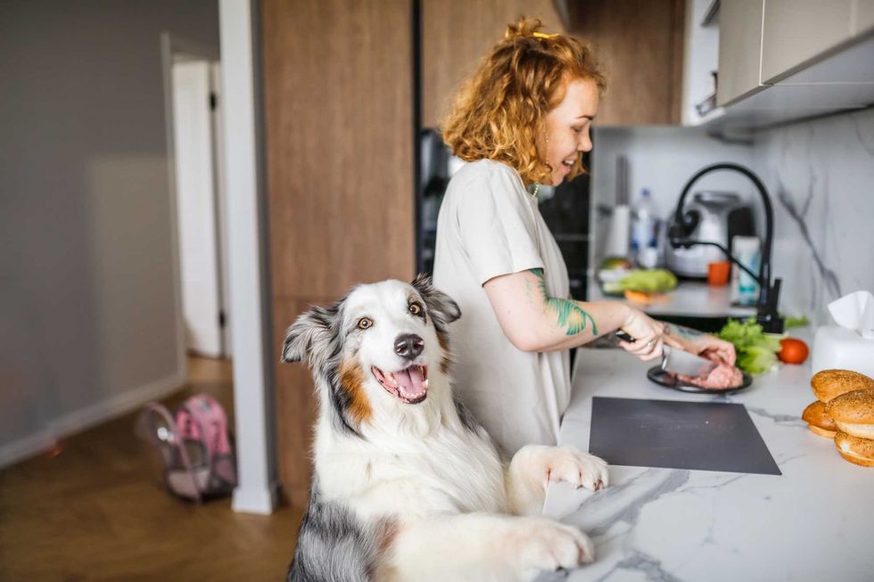 Woman chops food in kitchen; smiling dog stands beside her at the counter.