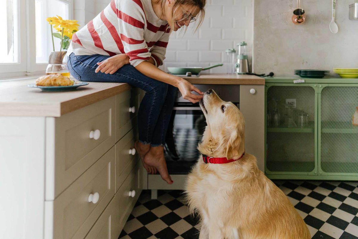 Woman feeding a golden retriever in a cozy kitchen.