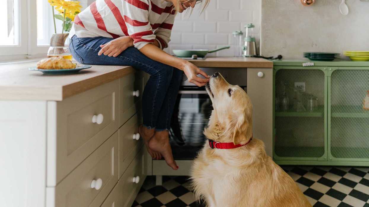 Woman feeding golden retriever in a cozy kitchen.