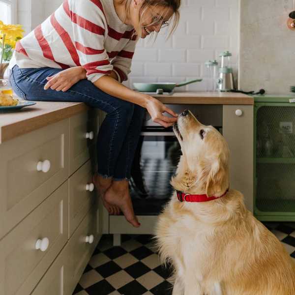 Woman feeding golden retriever in a cozy kitchen.