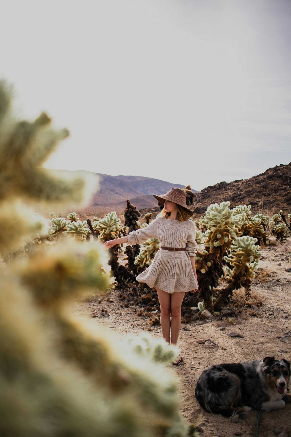 Woman in desert wearing hat, dress; standing near cacti, dog lying nearby.