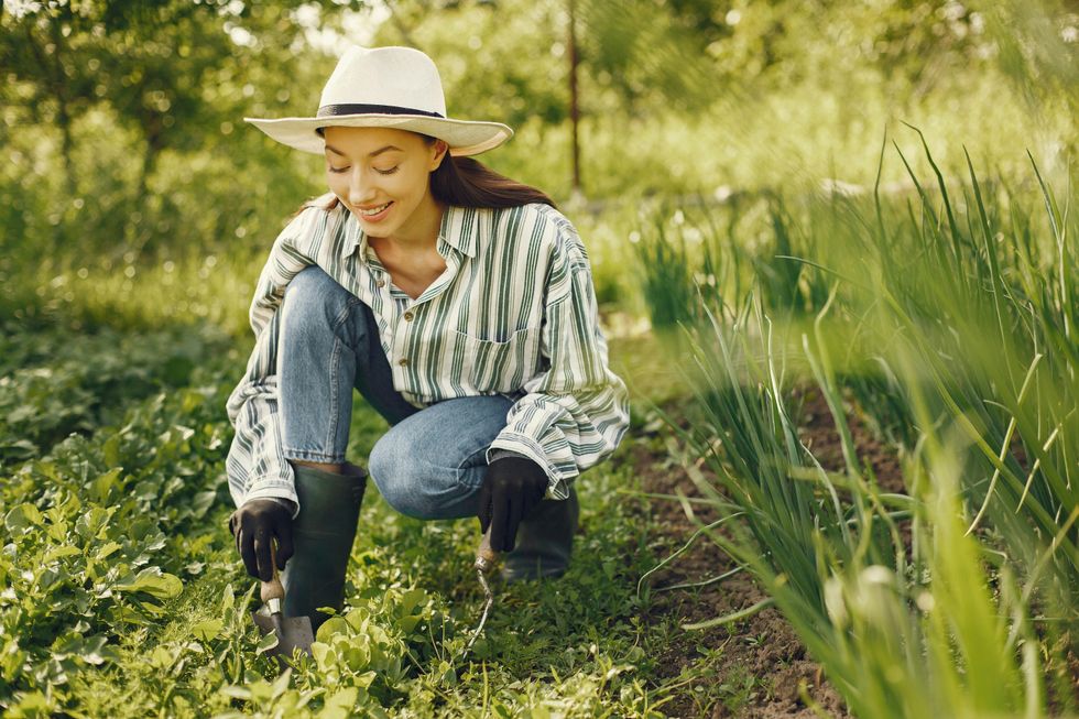woman in her vegetable garden