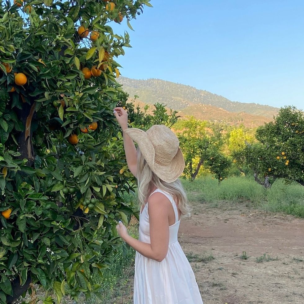 Woman in white dress and hat picking oranges in an orchard.