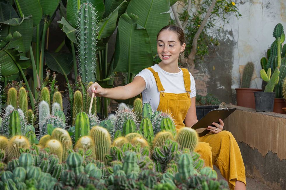 Woman in yellow overalls tending to cacti in a greenhouse.
