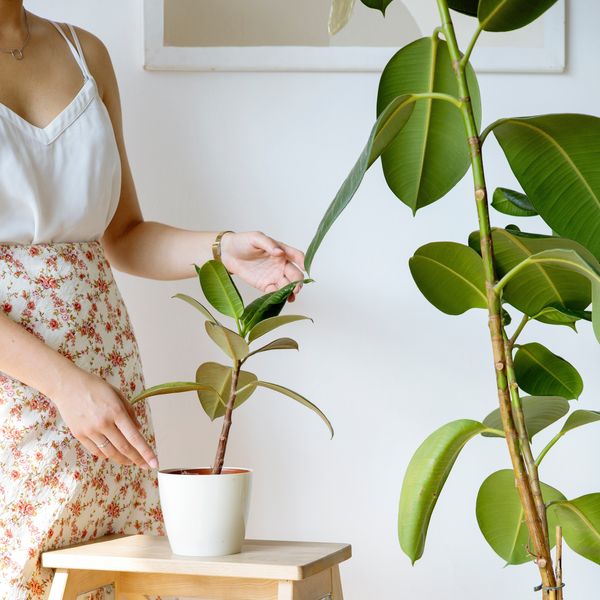 woman next to her indoor plants