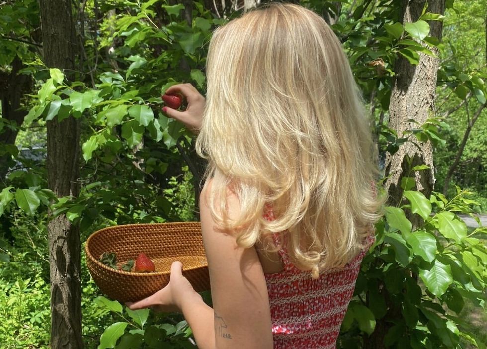 woman picking strawberries