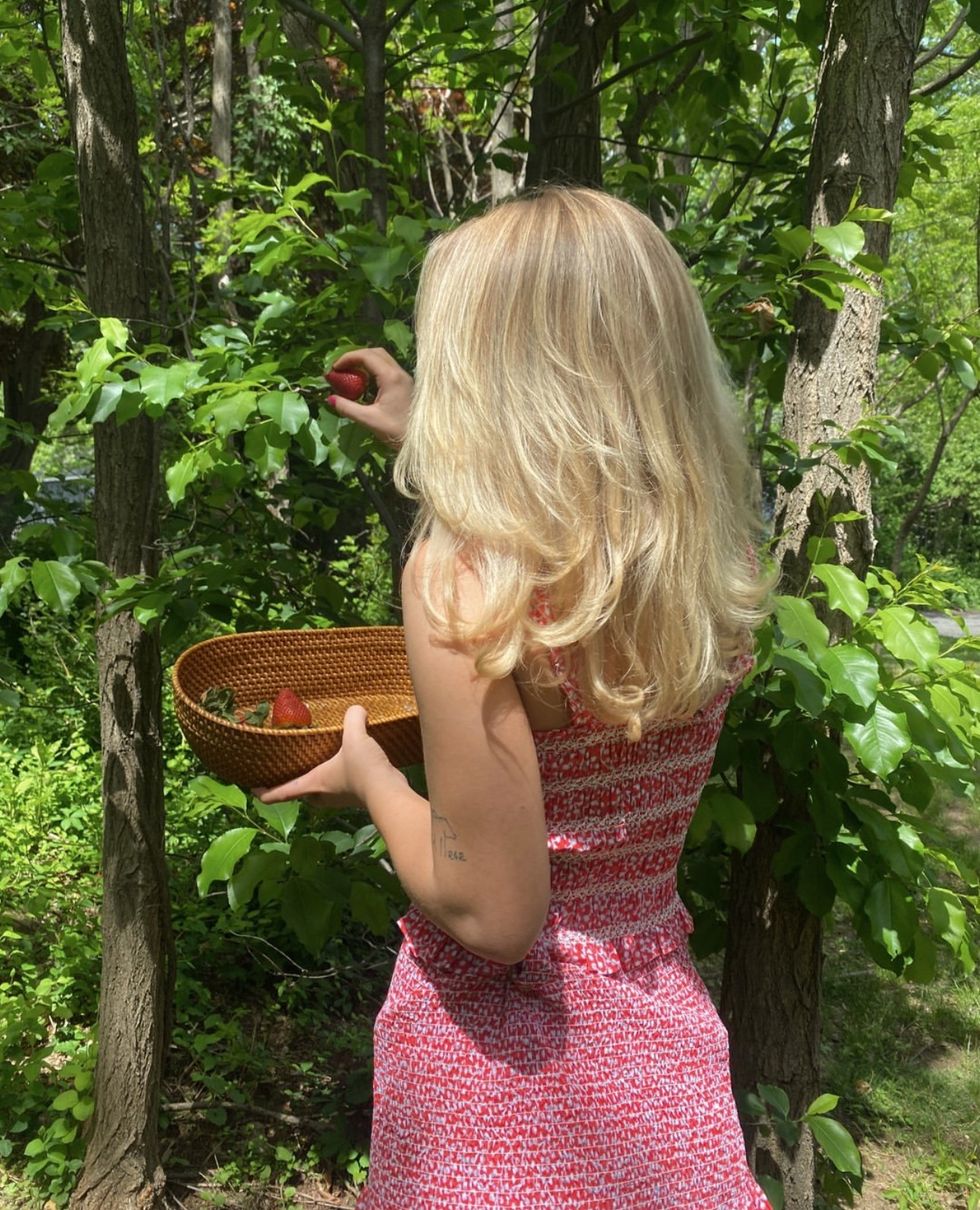 woman picking wild strawberries