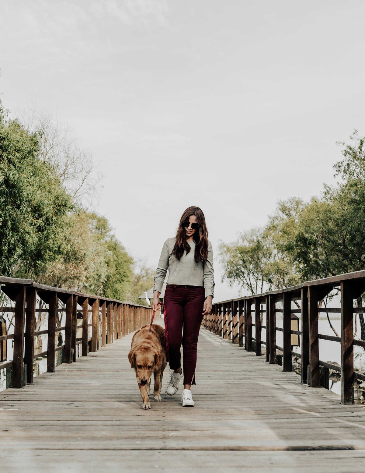 Woman walks brown dog on wooden bridge surrounded by trees.
