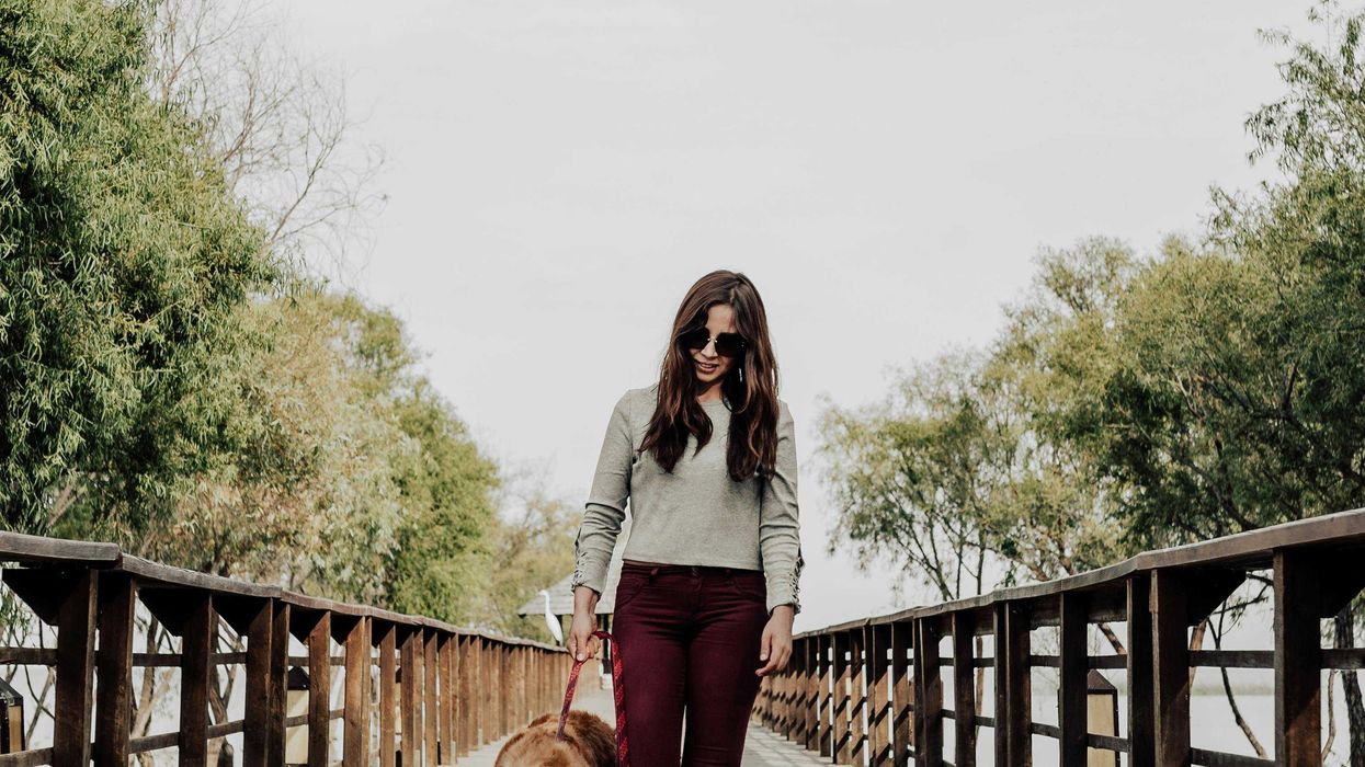 Woman walks brown dog on wooden bridge surrounded by trees.