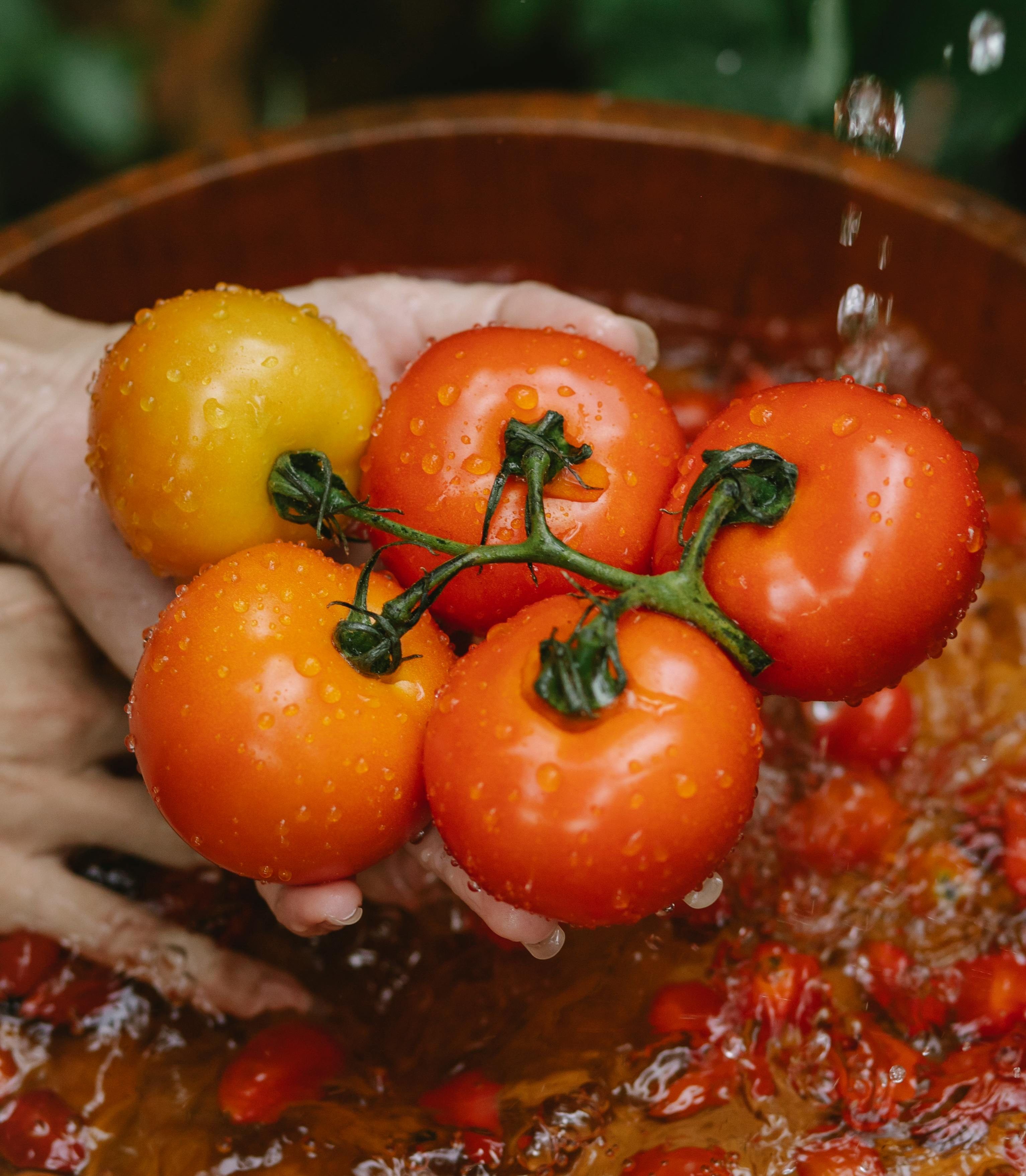 woman washing tomatoes