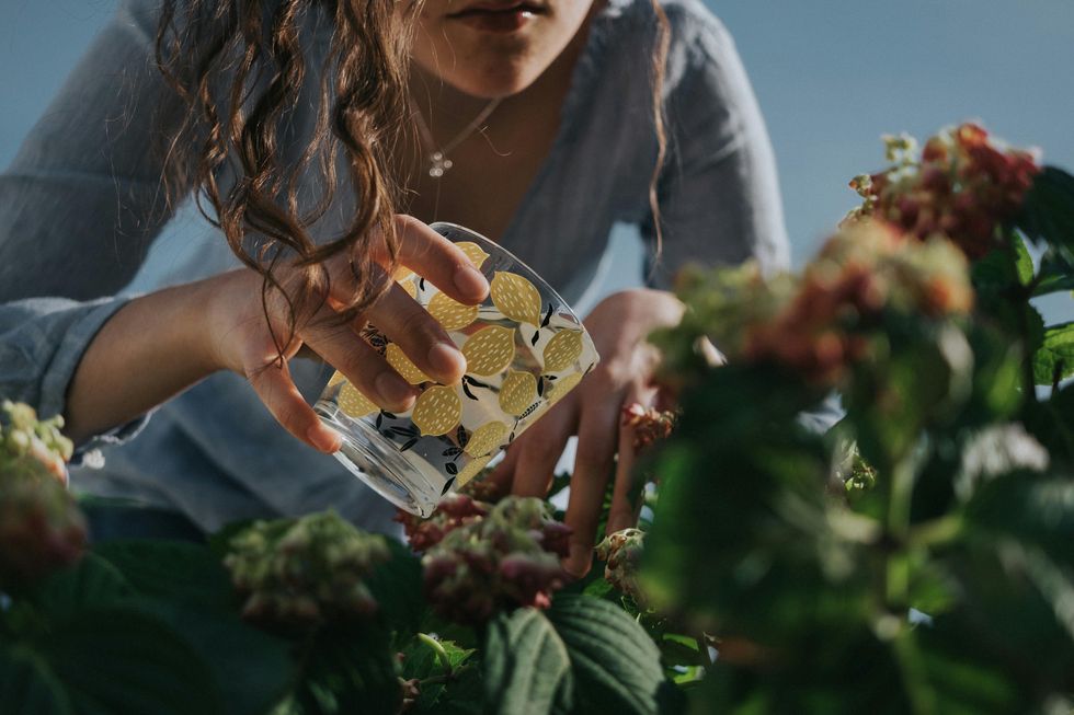 woman watering a vegetable garden