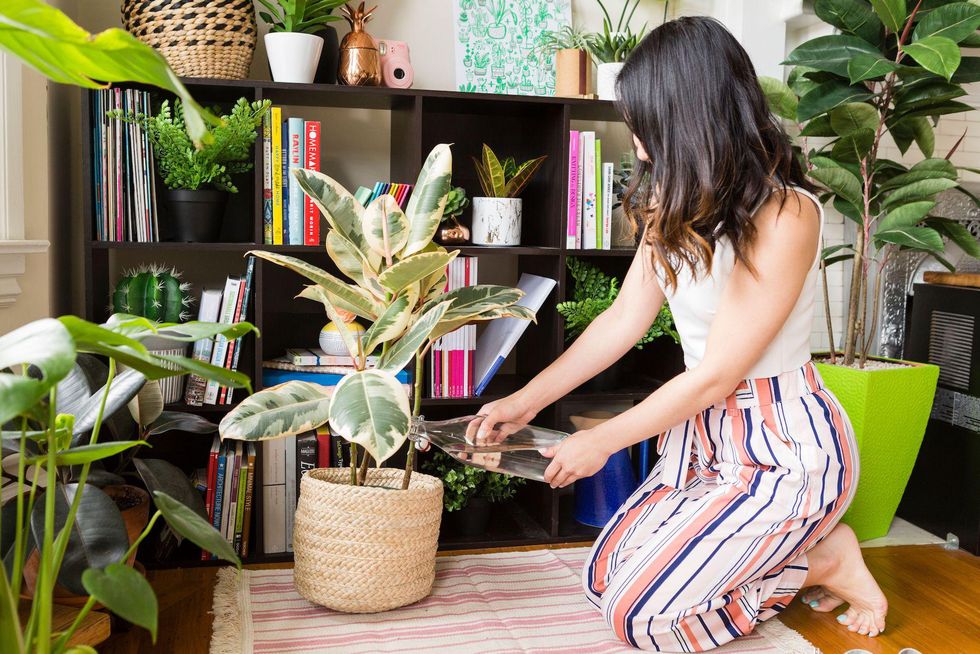 woman watering plants