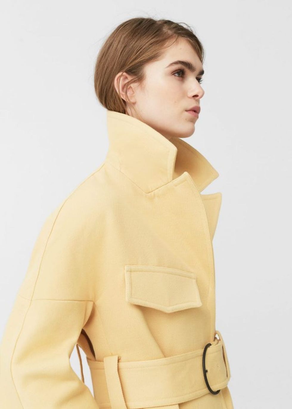 yellow-coat