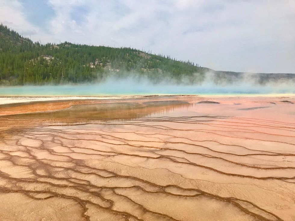 Yellowstone with Disney