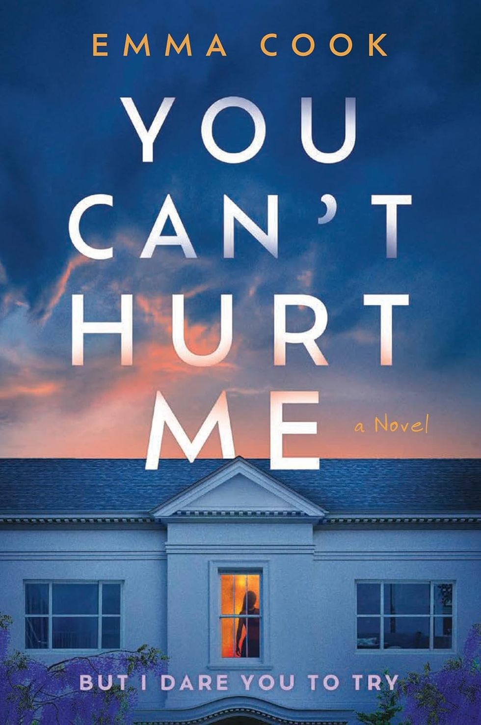 You Can't Hurt Me by Emma Coook