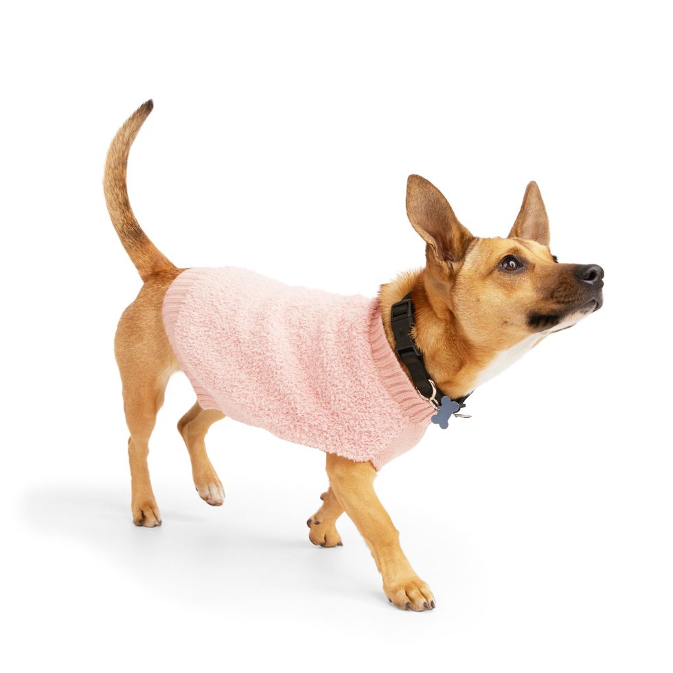 YOULY Pink Fuzzy Dog Sweater