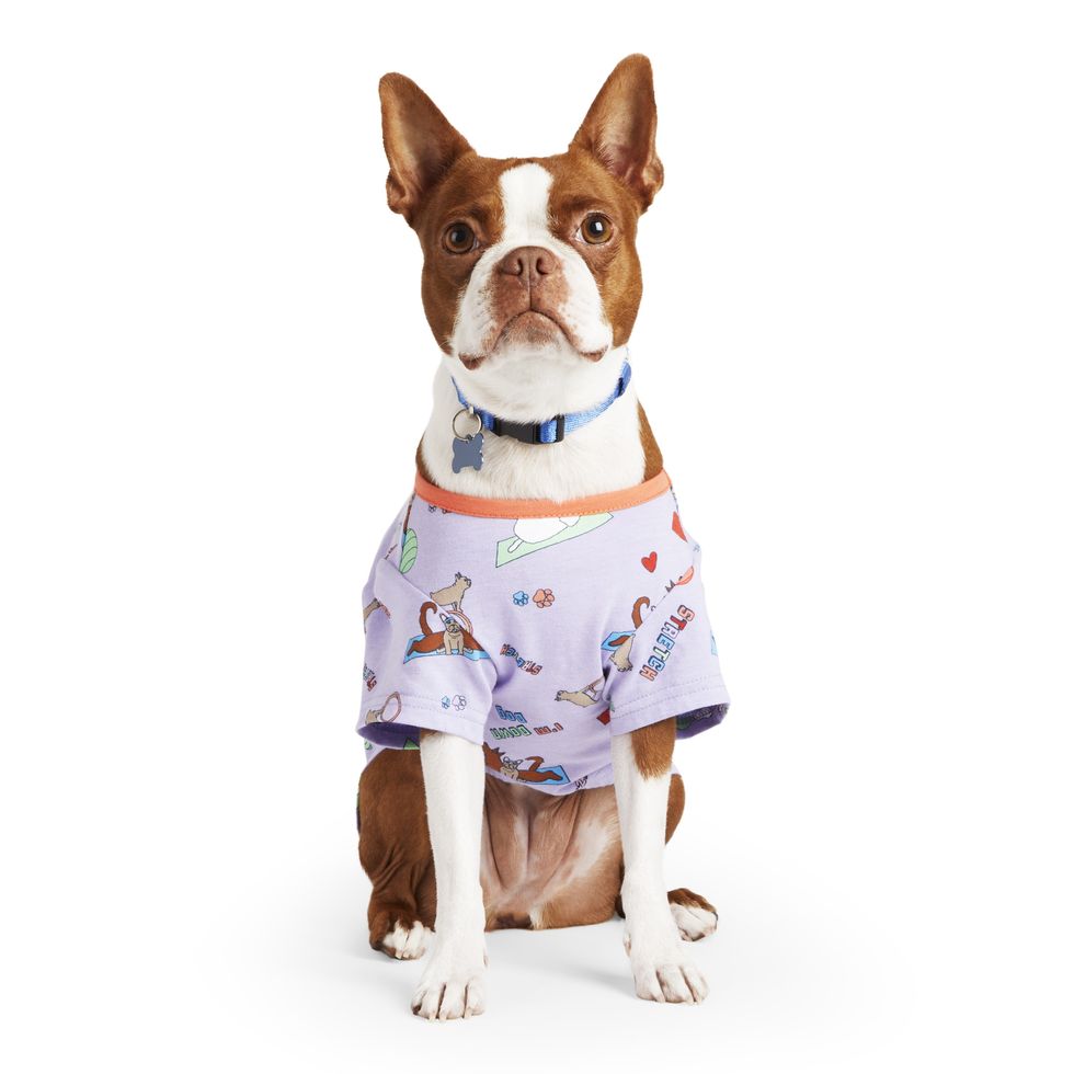 YOULY Purple Graphic Dog Tee