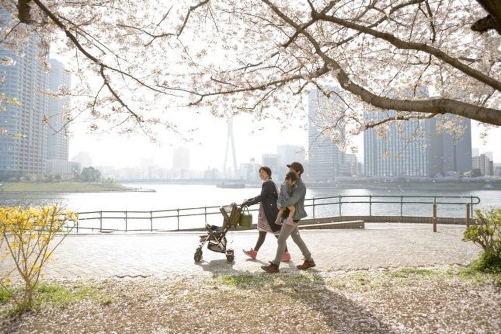 Young family under cherry blossoms tree