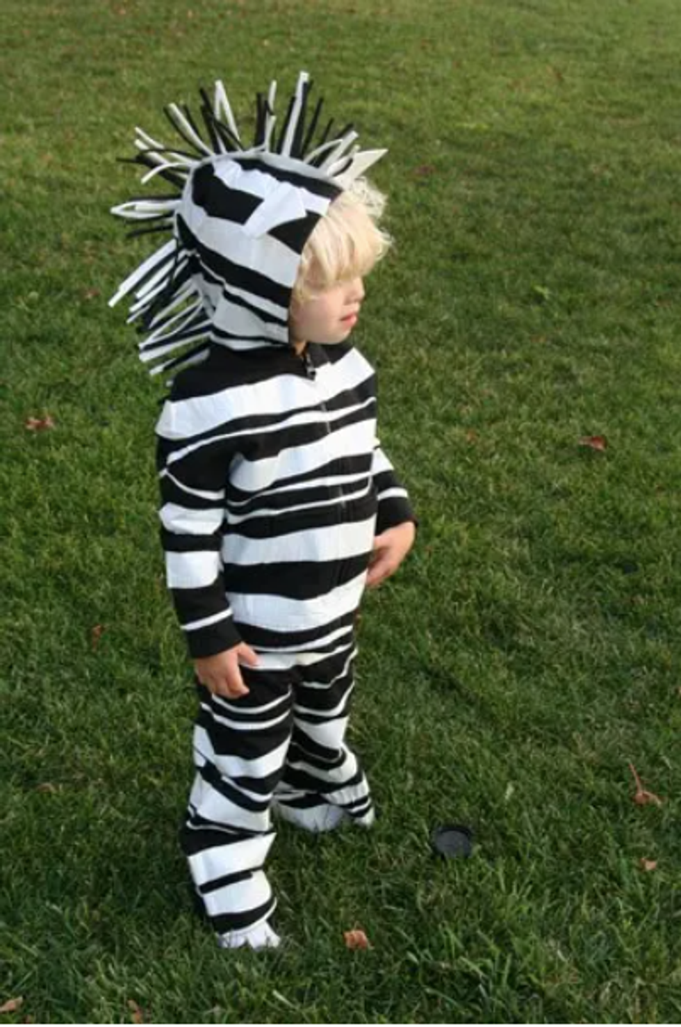 zebra costume