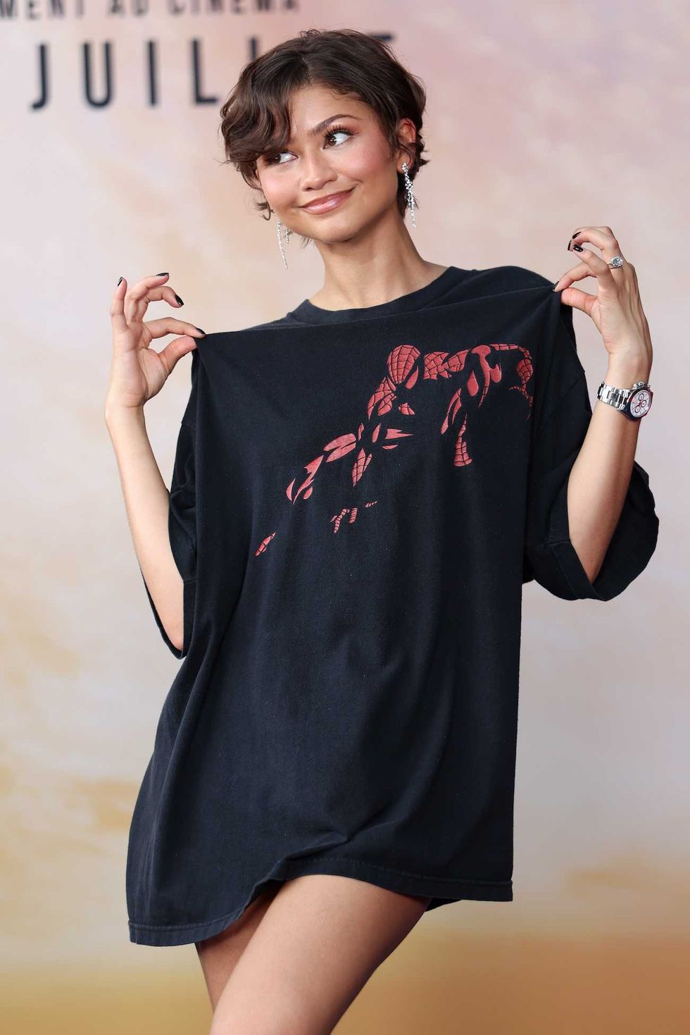 zendaya spider man brand new day