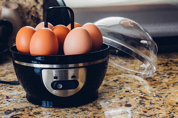 Best Egg Cookers [Tested. Reviewed. Ranked]